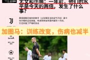 意甲：攻守易形！国际米兰接过尤文图斯“老妇人”名号